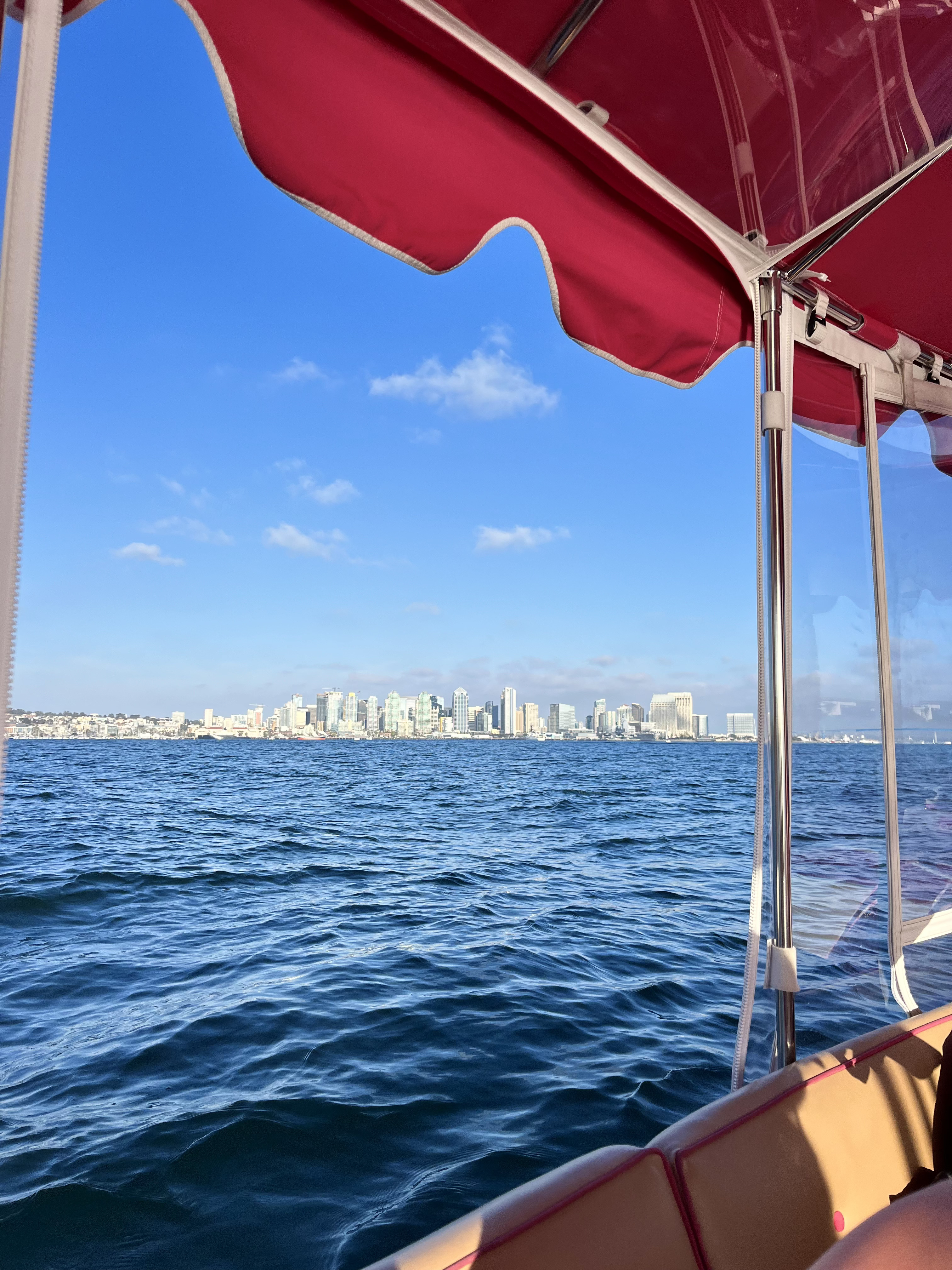 Eco Pink Boat - Main Photo